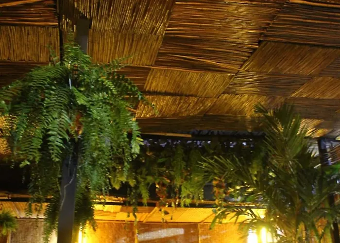 Auberge de jeunesse Aqui Comes Rico *
